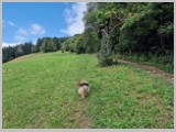 Slika_045.webp