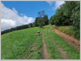 Slika_047.webp