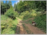 Slika_050.webp