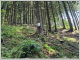 Slika_051.webp