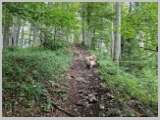 Slika_058.webp