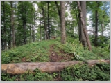 Slika_061.webp