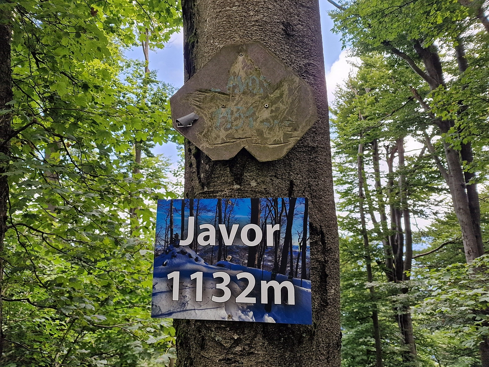 Javor, 24. 8. 2025