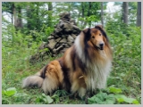 Slika_064.webp