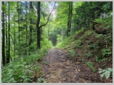 Slika_071.webp