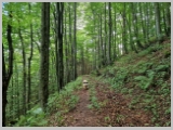 Slika_072.webp