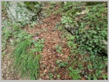Slika_088.webp