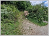 Slika_091.webp