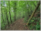 Slika_097.webp