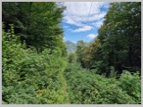 Slika_106.webp