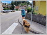 Slika_117.webp