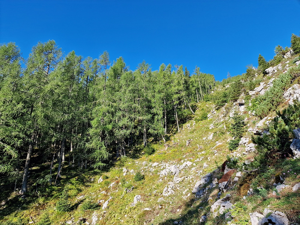 Veliki vrh (Veža), V. Zelenica, 31. 8. 2025