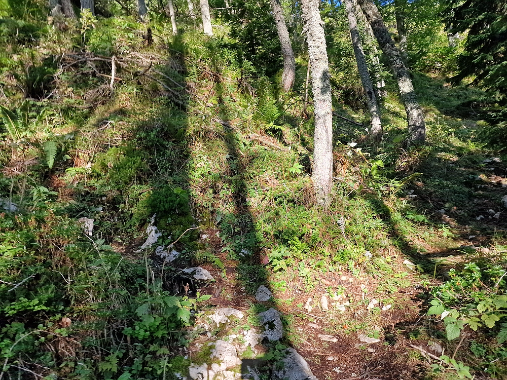 Veliki vrh (Veža), V. Zelenica, 31. 8. 2025