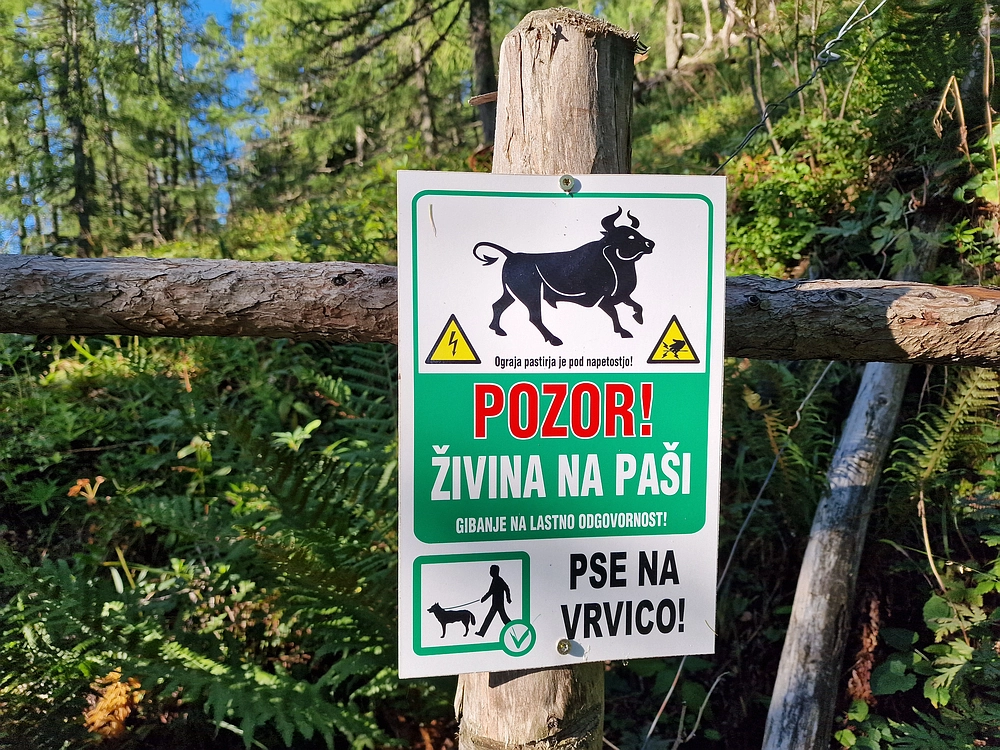 Veliki vrh (Veža), V. Zelenica, 31. 8. 2025