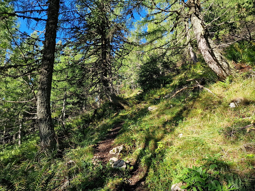 Veliki vrh (Veža), V. Zelenica, 31. 8. 2025