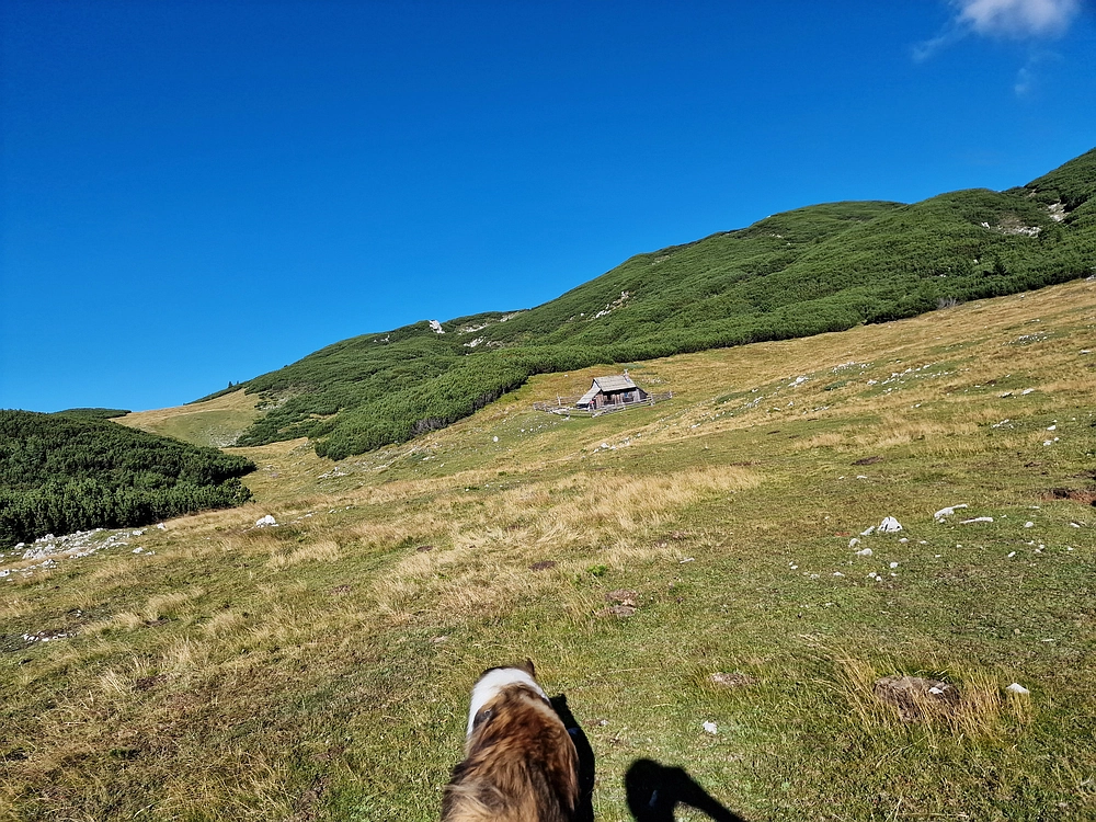 Veliki vrh (Veža), V. Zelenica, 31. 8. 2025