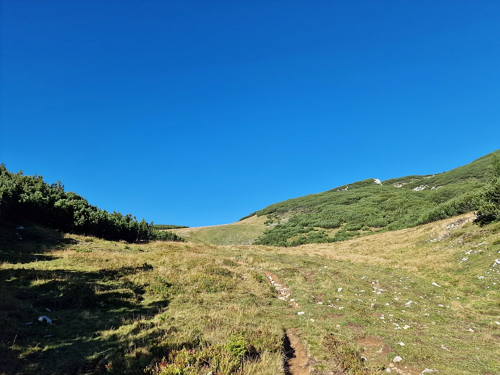Veliki vrh (Veža), V. Zelenica, 31. 8. 2025