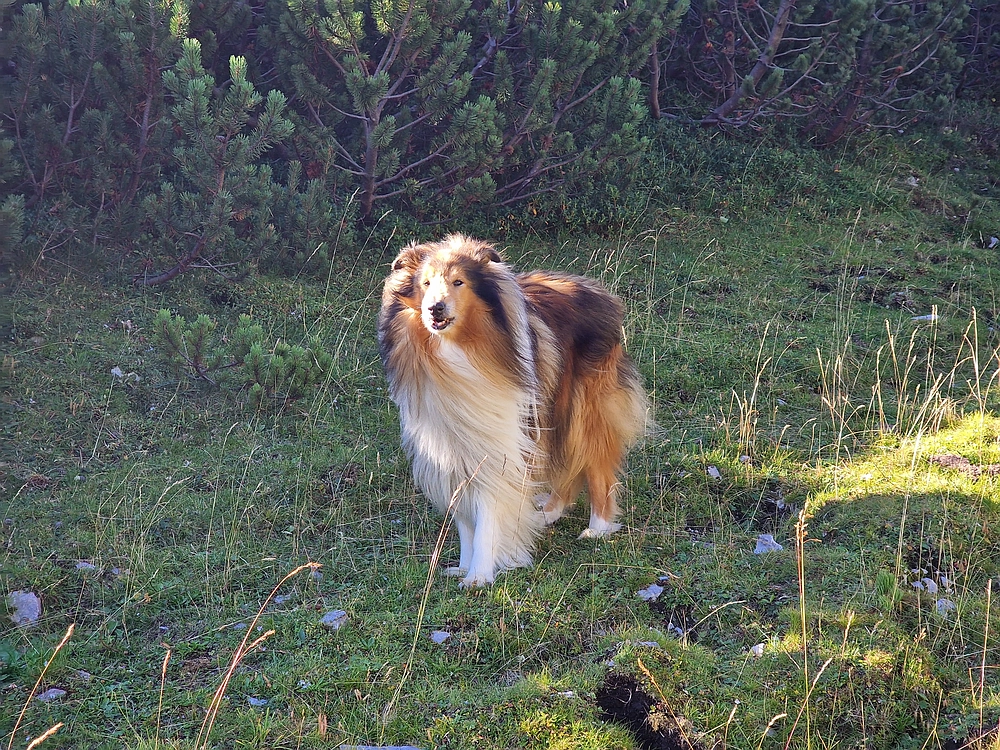 Veliki vrh (Veža), V. Zelenica, 31. 8. 2025