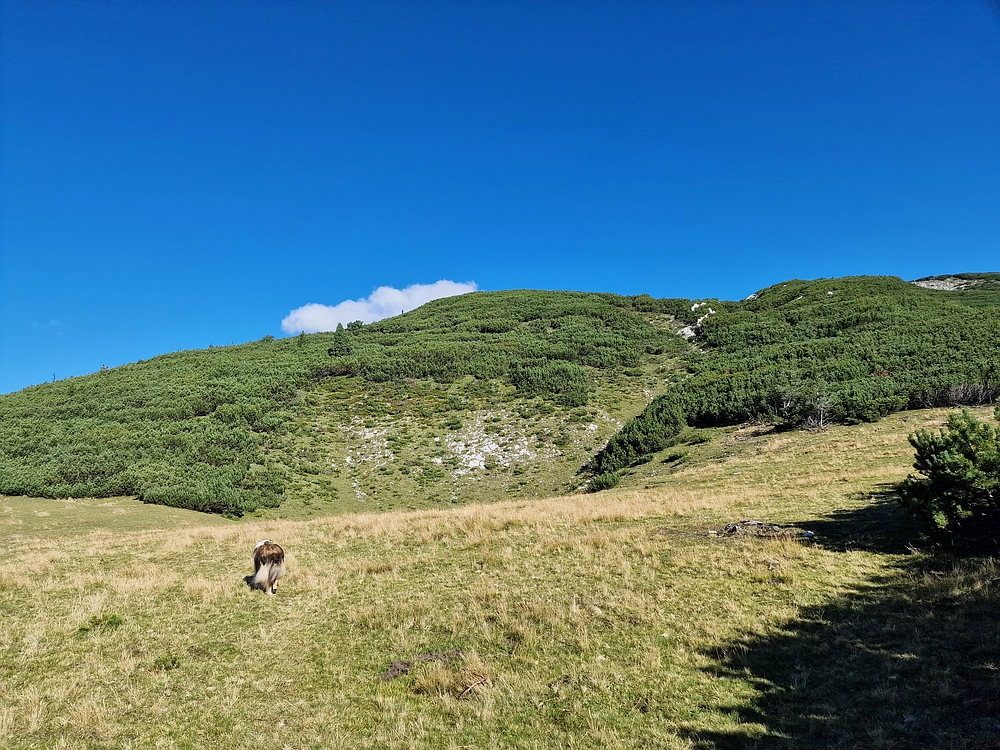 Veliki vrh (Veža), V. Zelenica, 31. 8. 2025