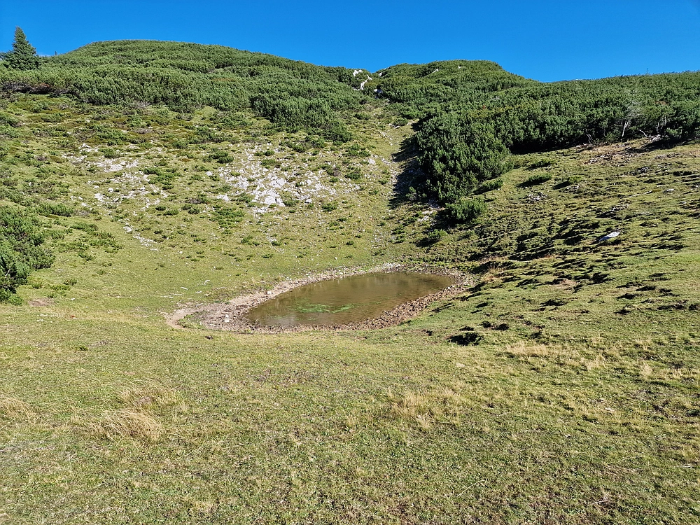 Veliki vrh (Veža), V. Zelenica, 31. 8. 2025