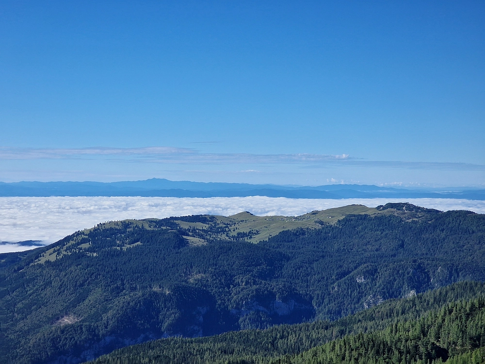 Veliki vrh (Veža), V. Zelenica, 31. 8. 2025