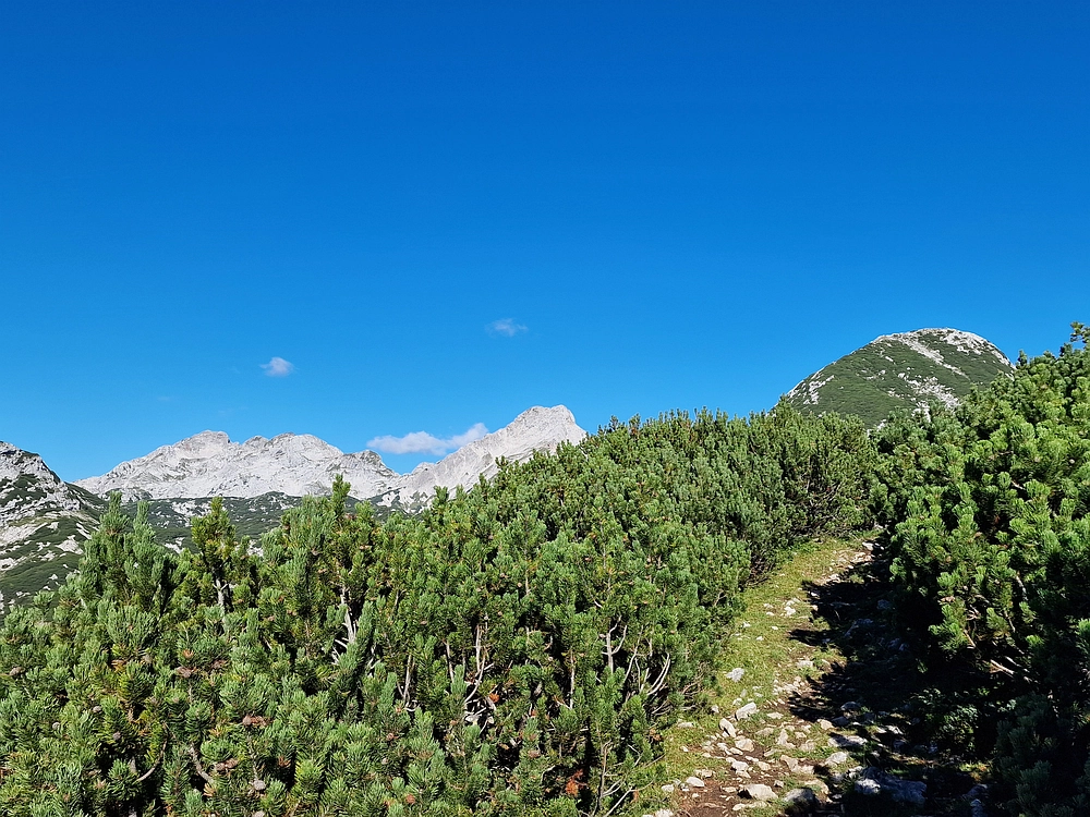 Veliki vrh (Veža), V. Zelenica, 31. 8. 2025