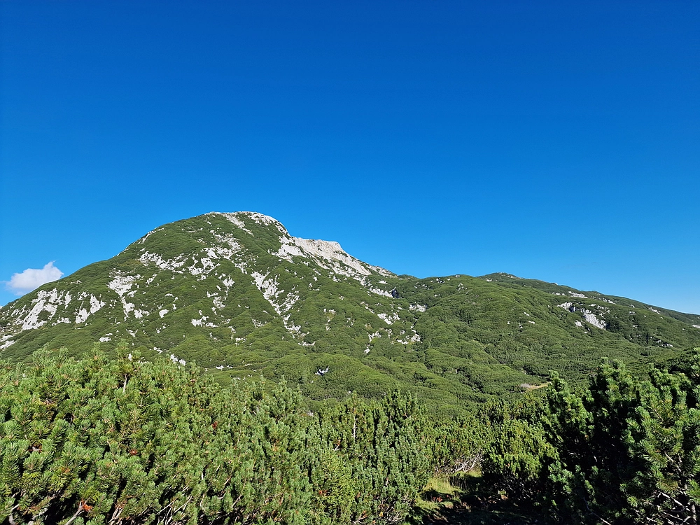 Veliki vrh (Veža), V. Zelenica, 31. 8. 2025