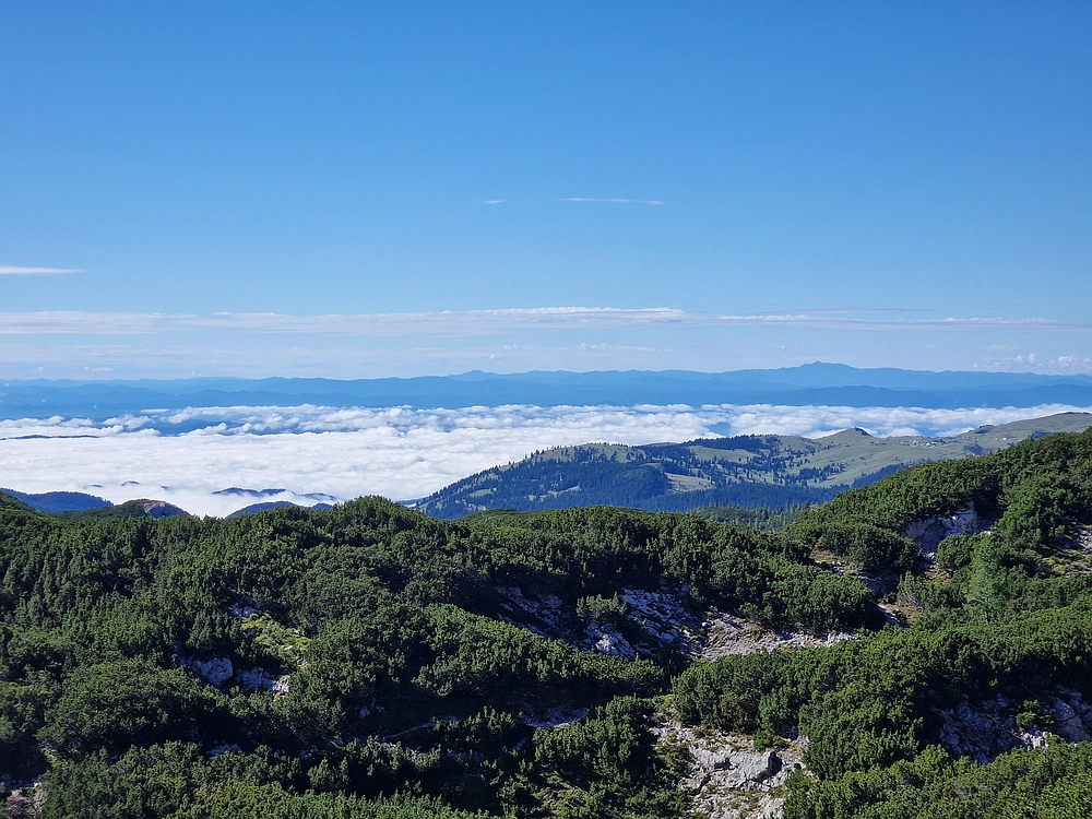 Veliki vrh (Veža), V. Zelenica, 31. 8. 2025