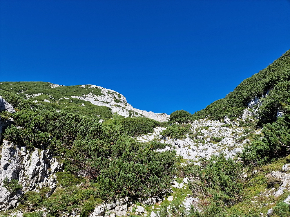 Veliki vrh (Veža), V. Zelenica, 31. 8. 2025