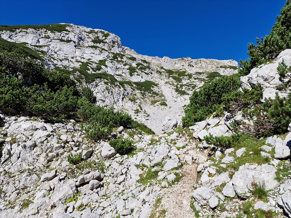 Veliki vrh (Veža), V. Zelenica, 31. 8. 2025