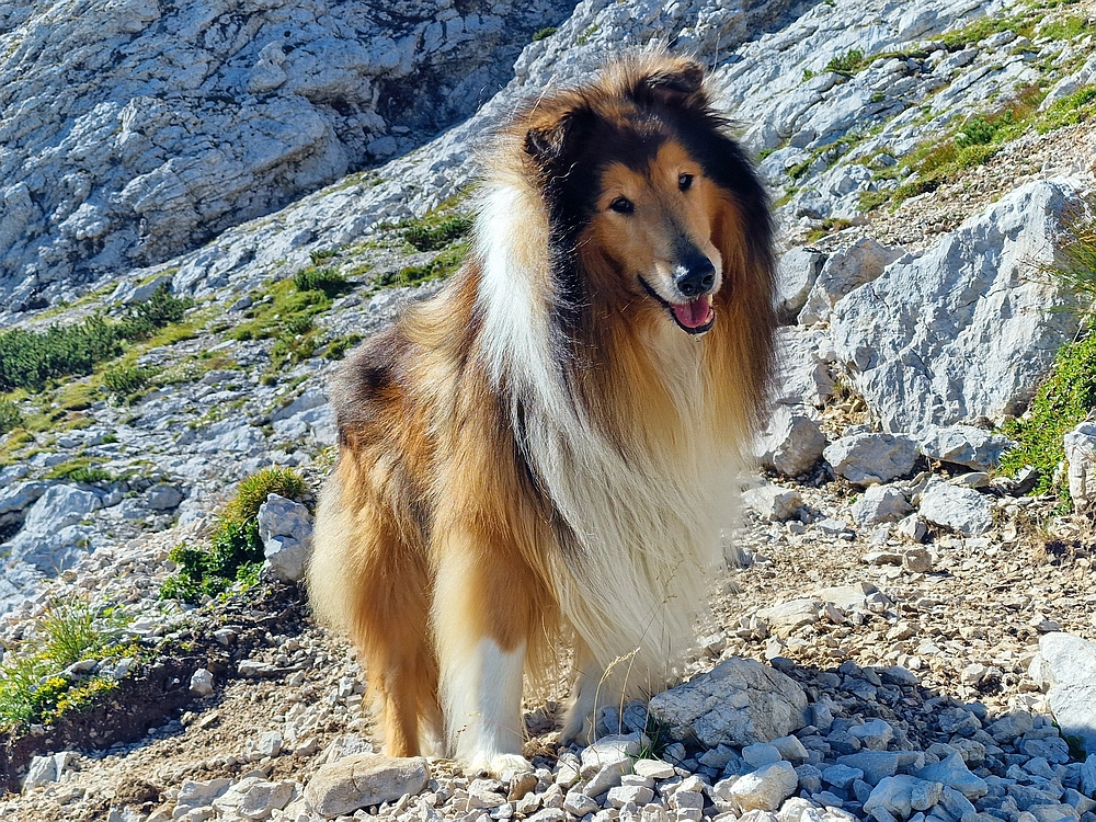 Veliki vrh (Veža), V. Zelenica, 31. 8. 2025
