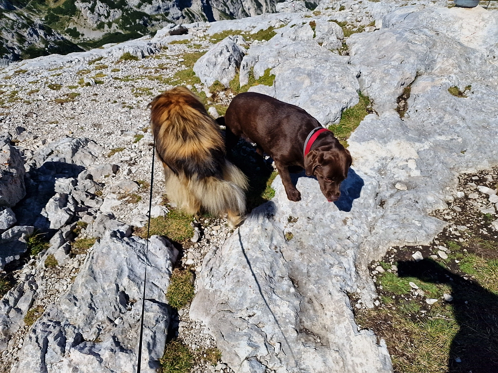 Veliki vrh (Veža), V. Zelenica, 31. 8. 2025