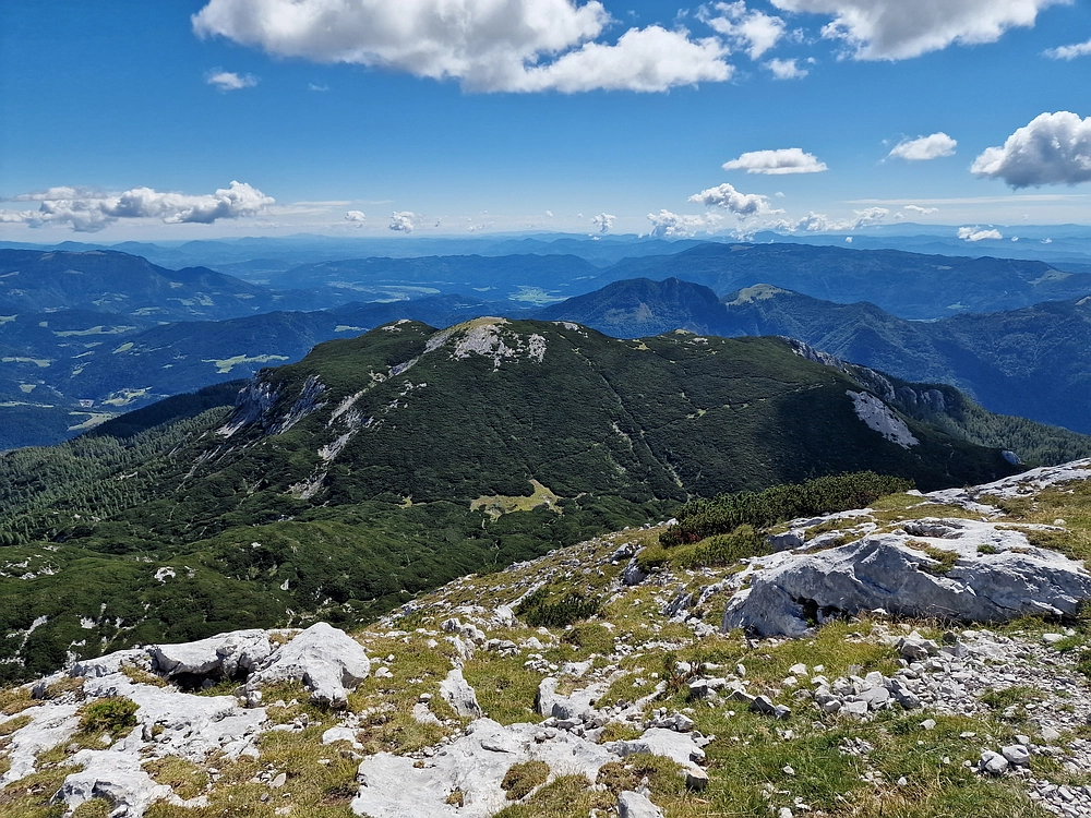 Veliki vrh (Veža), V. Zelenica, 31. 8. 2025