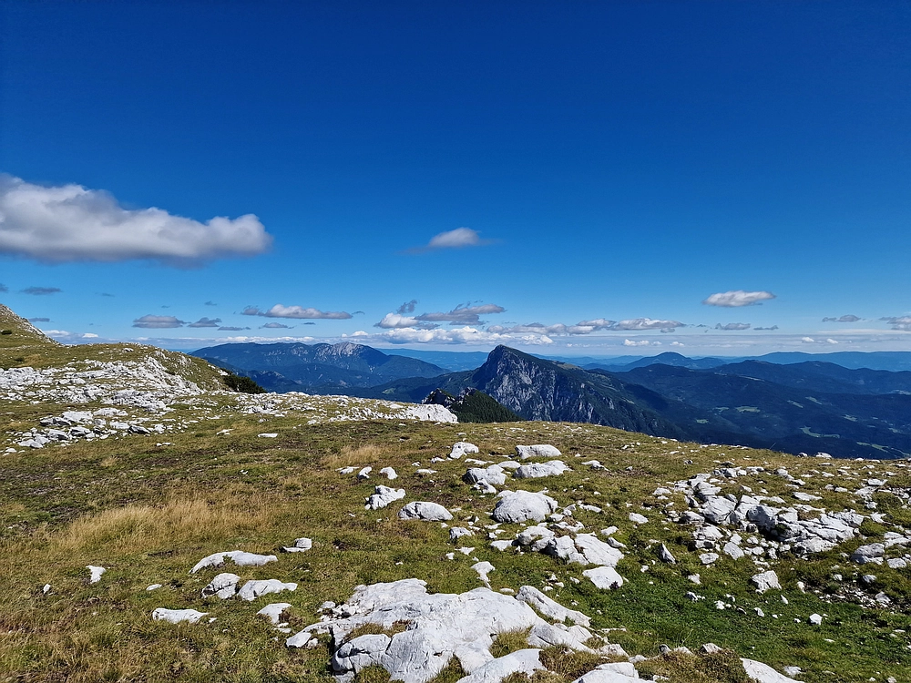 Veliki vrh (Veža), V. Zelenica, 31. 8. 2025