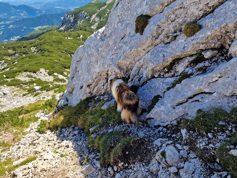 Veliki vrh (Veža), V. Zelenica, 31. 8. 2025