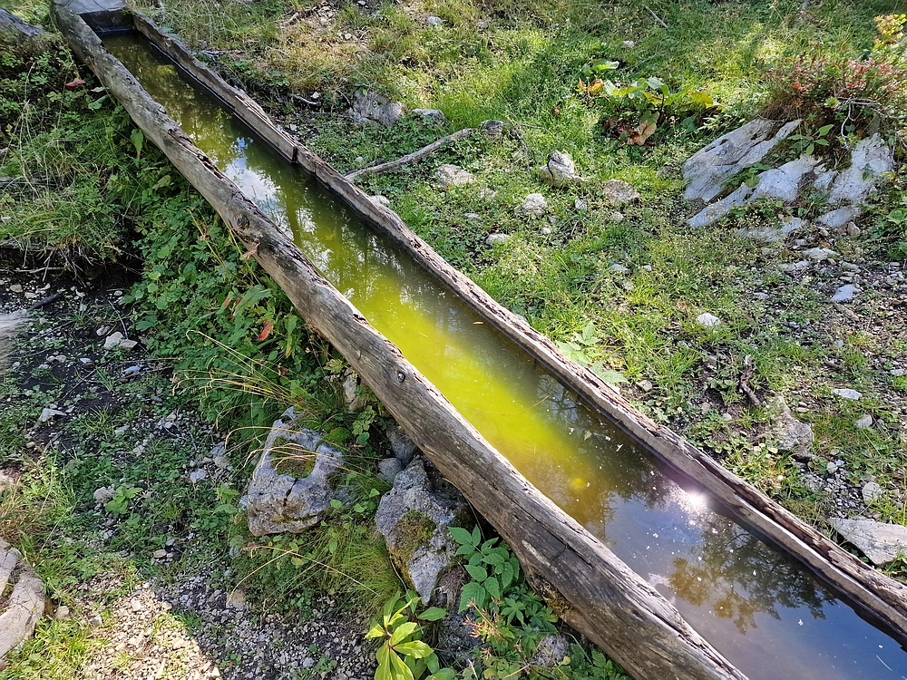 Veliki vrh (Veža), V. Zelenica, 31. 8. 2025