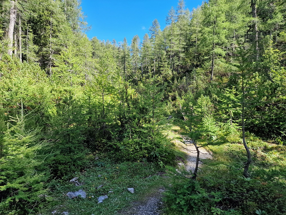 Veliki vrh (Veža), V. Zelenica, 31. 8. 2025