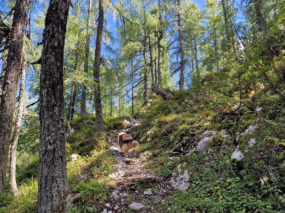 Veliki vrh (Veža), V. Zelenica, 31. 8. 2025