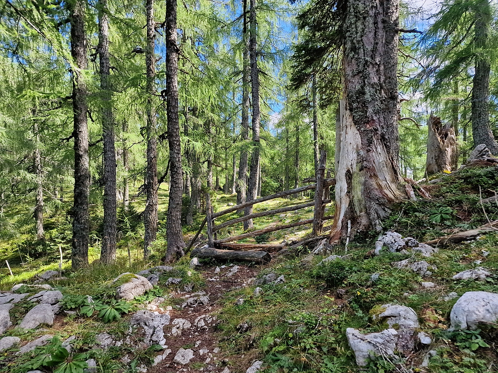 Veliki vrh (Veža), V. Zelenica, 31. 8. 2025