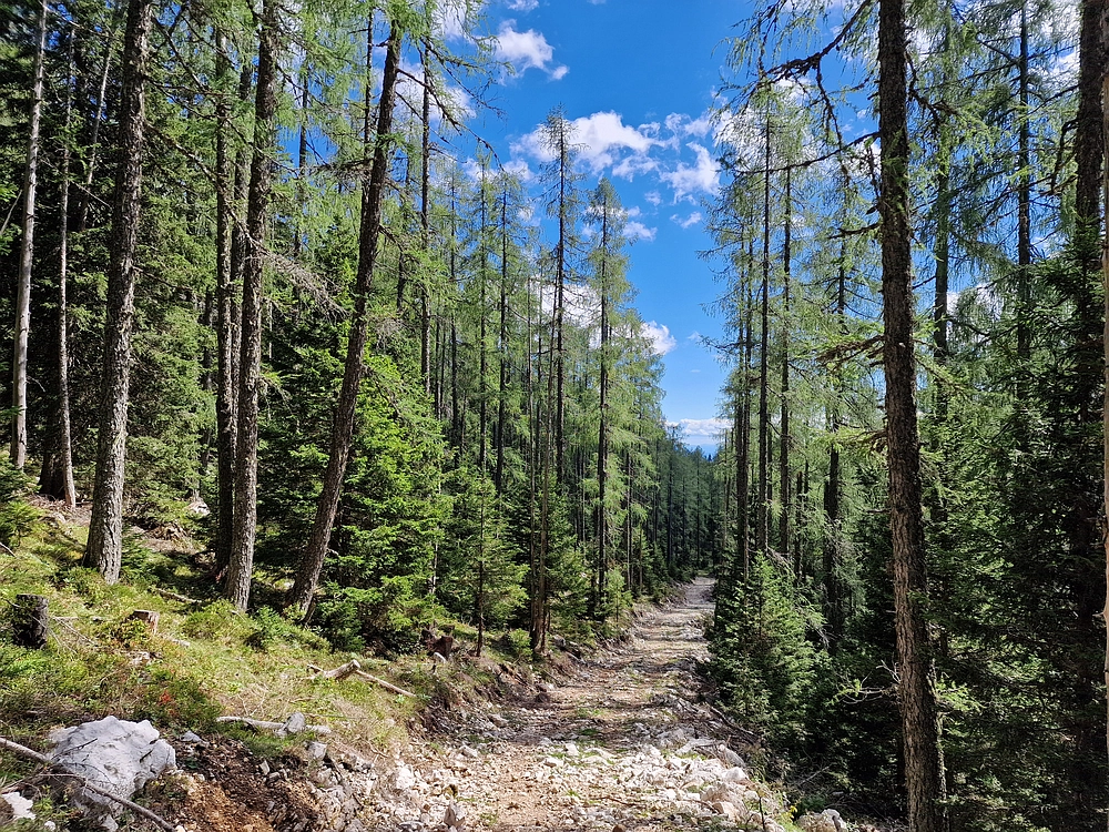Veliki vrh (Veža), V. Zelenica, 31. 8. 2025
