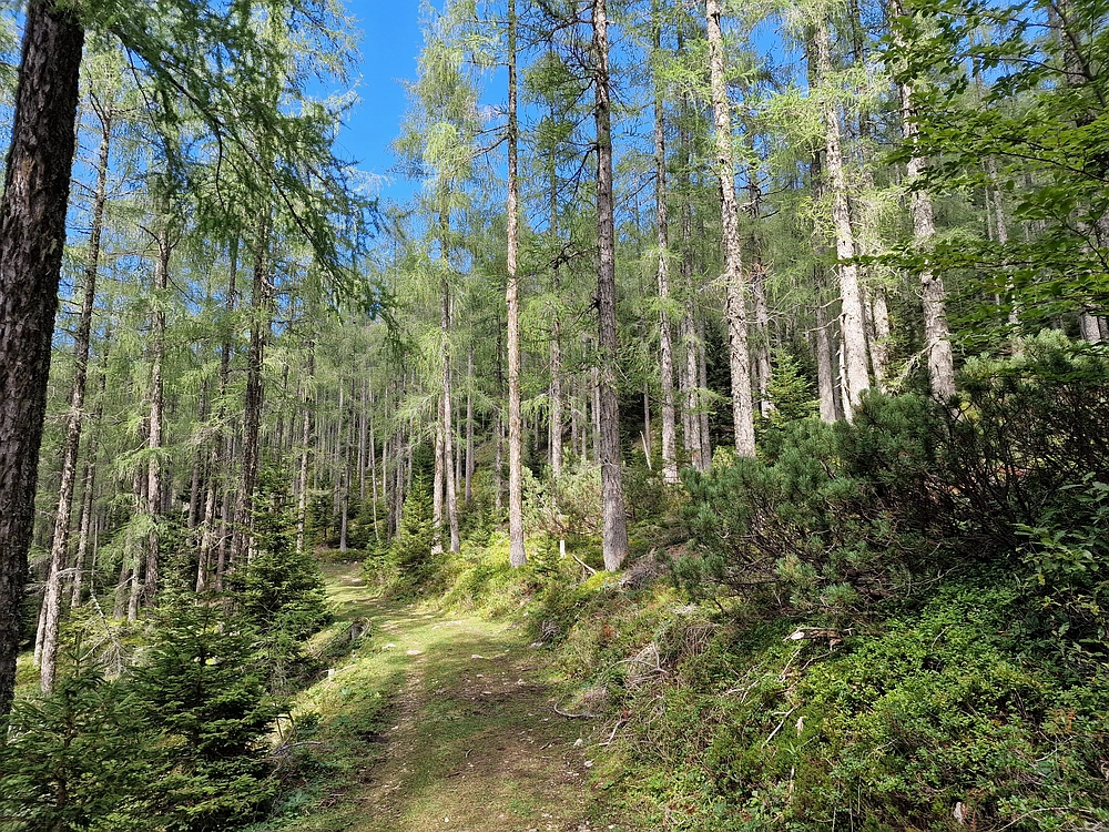 Veliki vrh (Veža), V. Zelenica, 31. 8. 2025