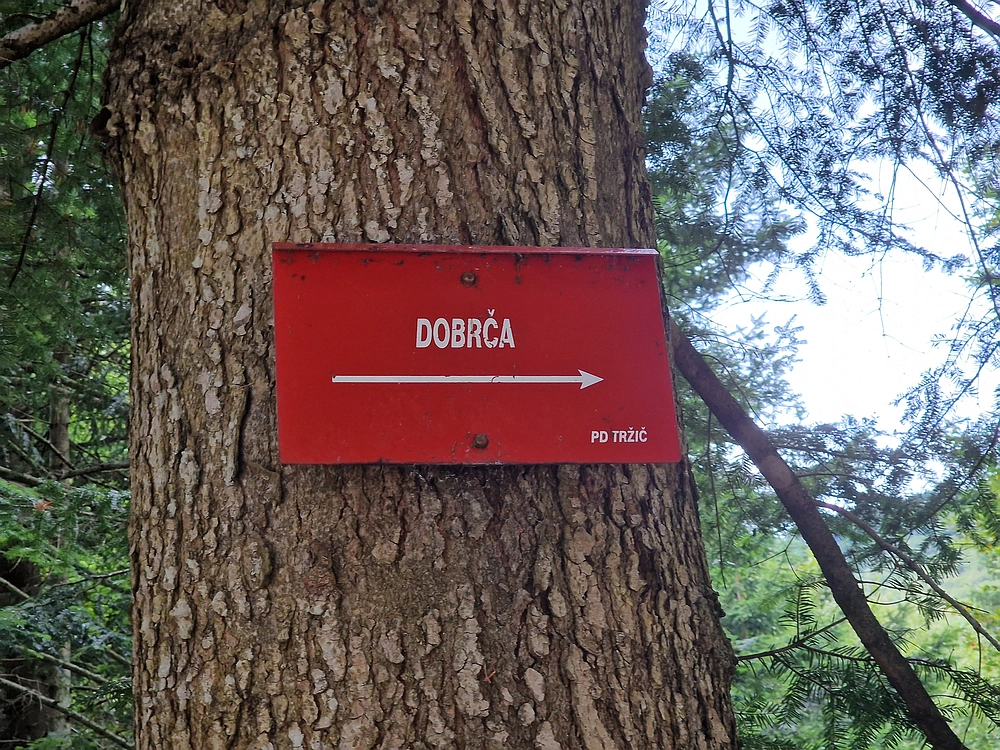 Dobrča, 6. 9. 2025