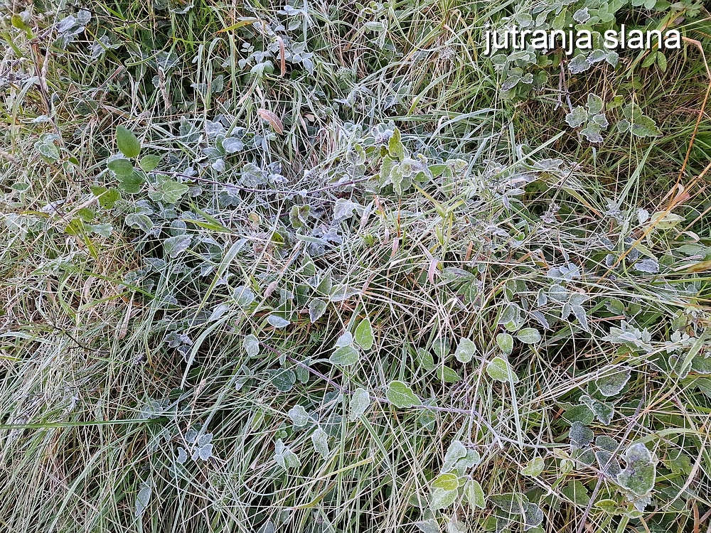 Tolsti vrh, 4. 10. 2025