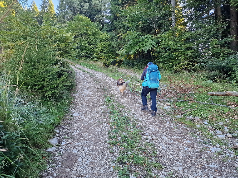 Tolsti vrh, 4. 10. 2025