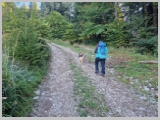 Slika_008.webp