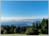 Slika_009.webp