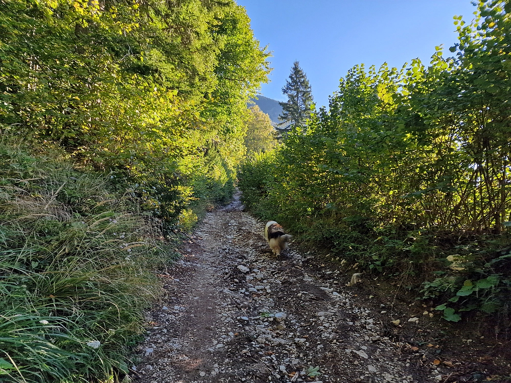 Tolsti vrh, 4. 10. 2025