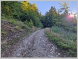 Slika_012.webp