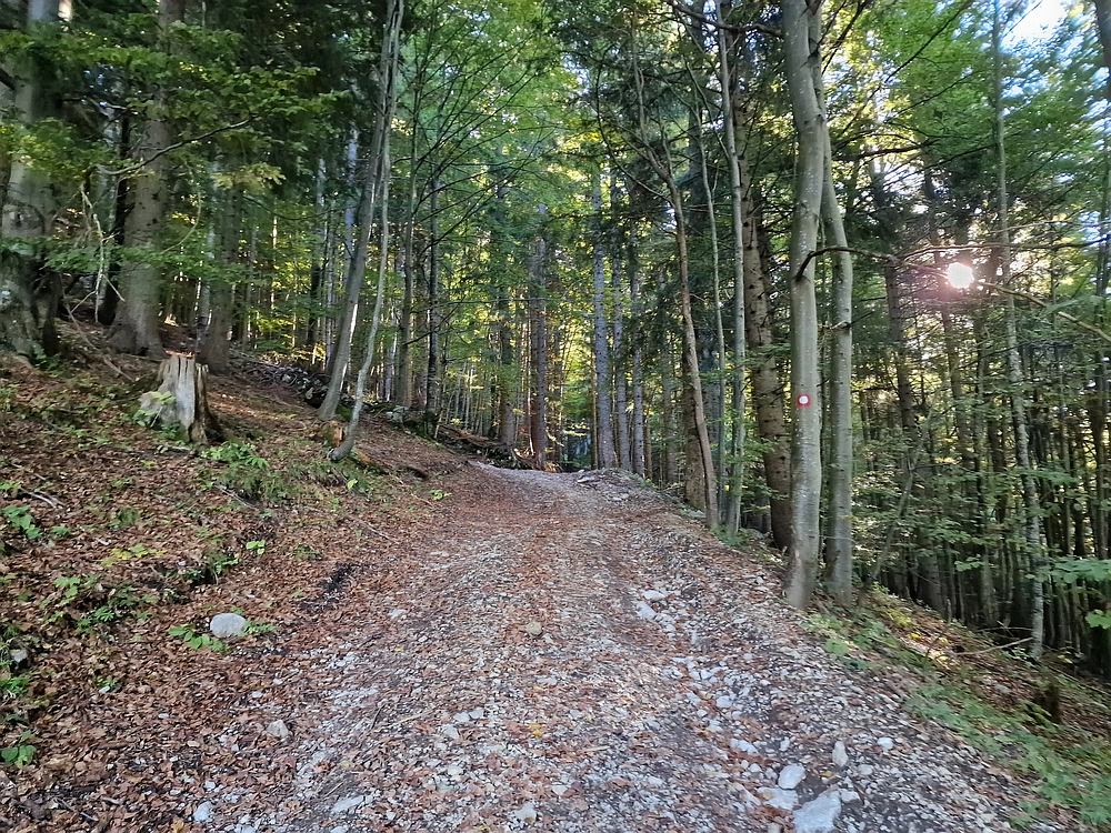 Tolsti vrh, 4. 10. 2025