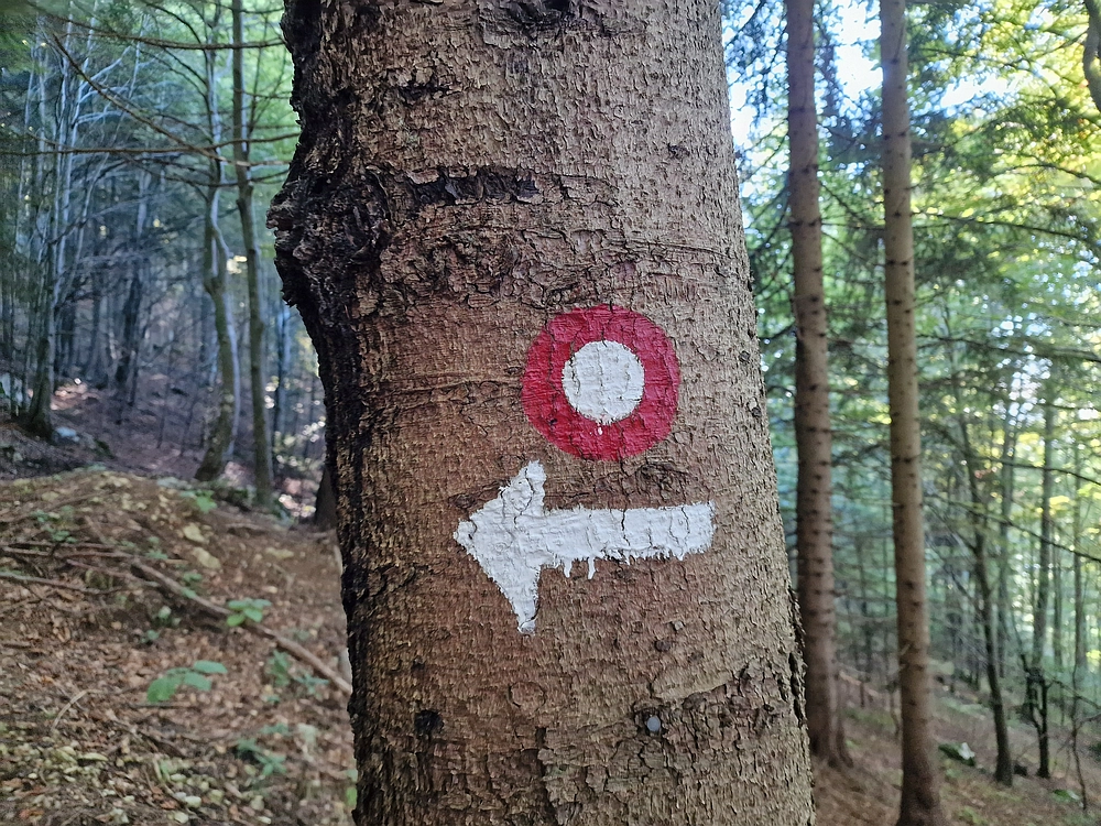 Tolsti vrh, 4. 10. 2025